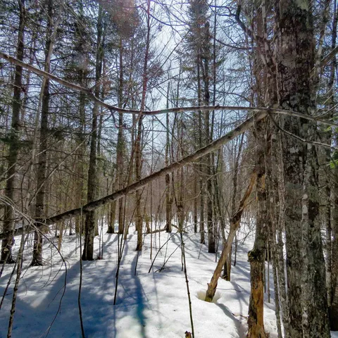 $74,000 | 8 Finland Mn 55603, Schroeder, MN 55613