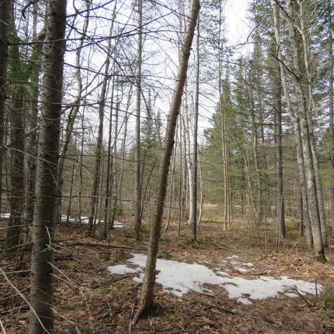 $74,000 | 8 Finland Mn 55603, Schroeder, MN 55613