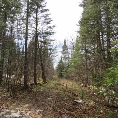 $74,000 | 8 Finland Mn 55603, Schroeder, MN 55613