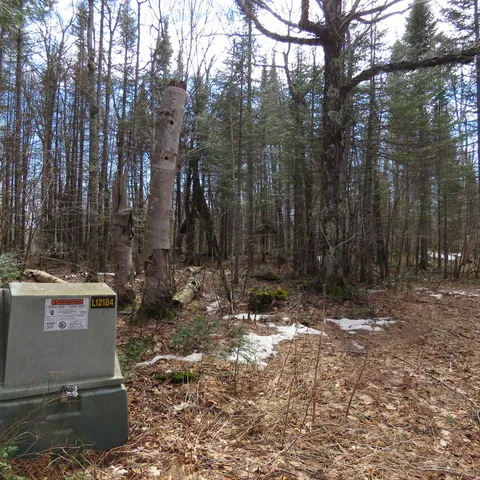 $74,000 | 8 Finland Mn 55603, Schroeder, MN 55613