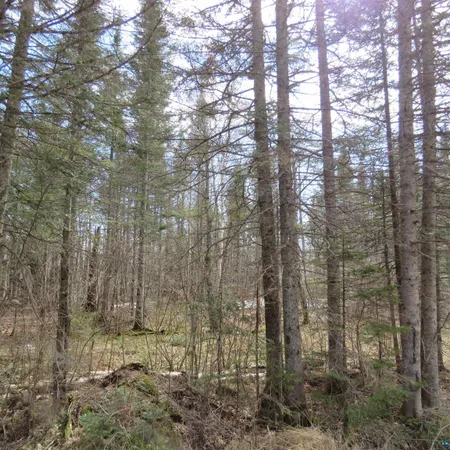 $70,000 | 8 Finland Mn 55603, Schroeder, MN 55613