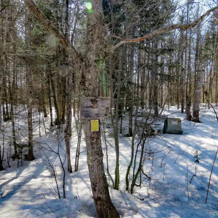 $70,000 | 8 Finland Mn 55603, Schroeder, MN 55613