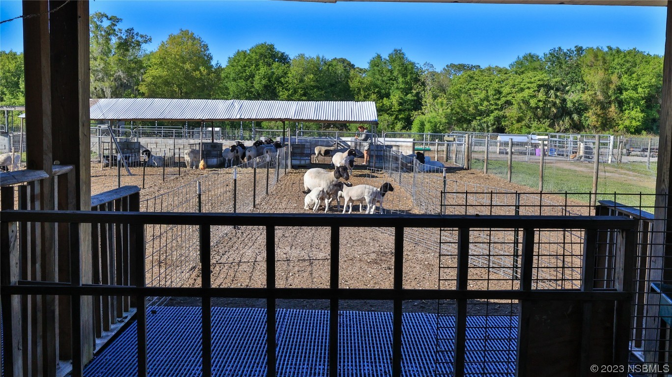 677 State Rte 415 New Smyrna Beach, FL 32168 - Photo 67 of 74