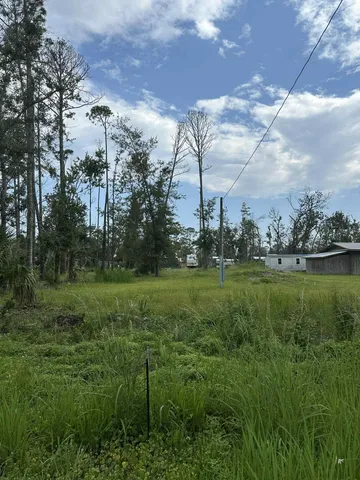 $110,000 | Lot 5 5th Avenue, Steinhatchee, FL 32359