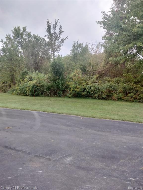 52079 11 Mile Road South Lyon, MI 48178 - Photo 2 of 4 Gallery Image 2