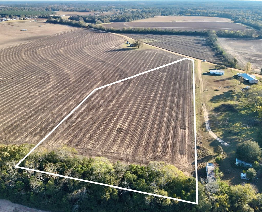 7.57-acres Burdeshaw Road Headland, AL 36345 - Photo 2 of 11