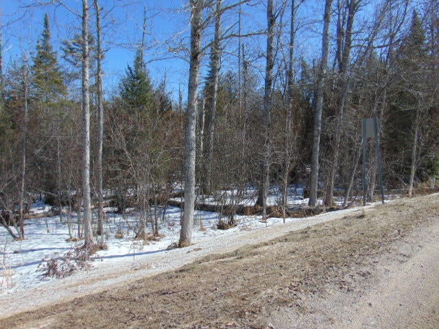 0 South Hulbert Road Hulbert, MI 49748 - Photo 1 of 4 Gallery Image 1