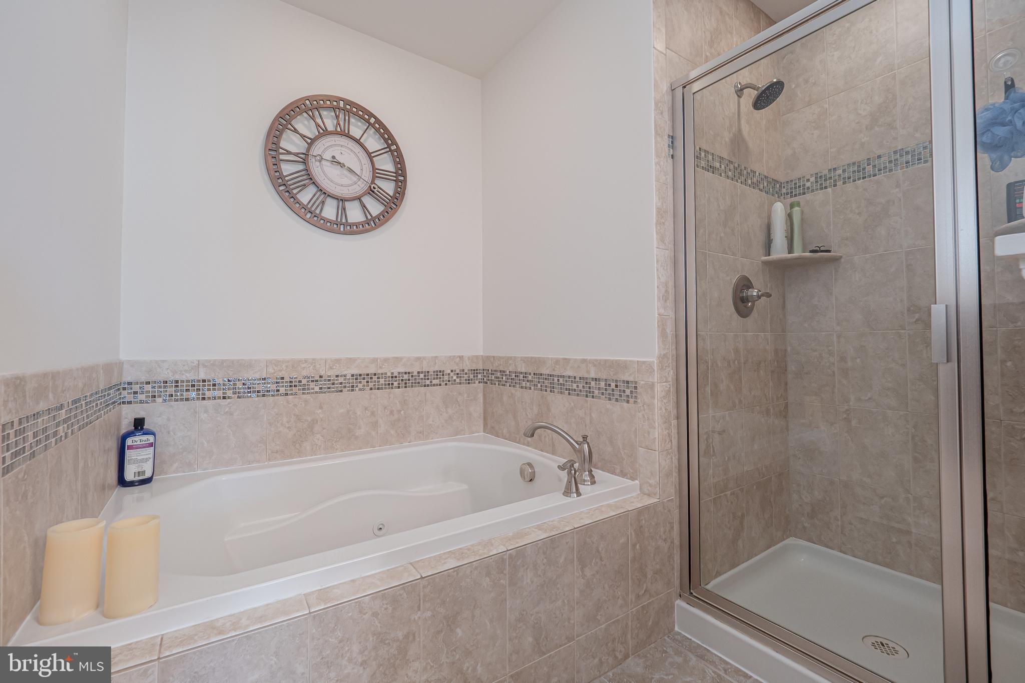830 Sisler Road Phoenixville, PA 19460 - Photo 25 of 43 Soaking tub and separate shower