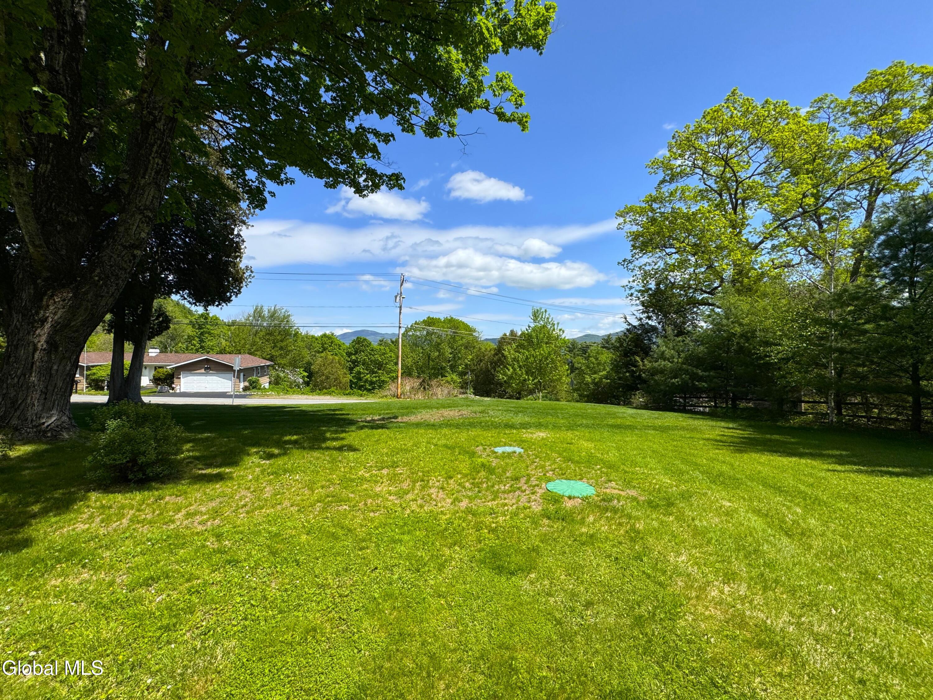 860 Trout Lake Road Bolton, NY 12814 - Photo 9 of 22 South lawn