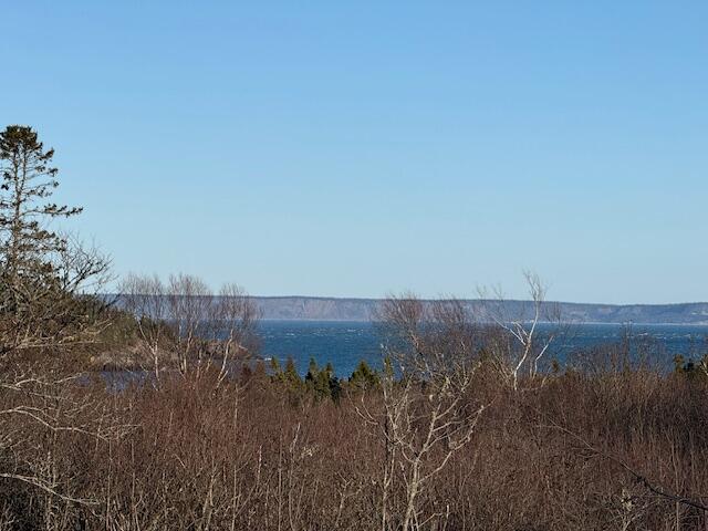 6 Cecelias Way Lubec, ME 04652 - Photo 12 of 64 IMG_7501 (1)