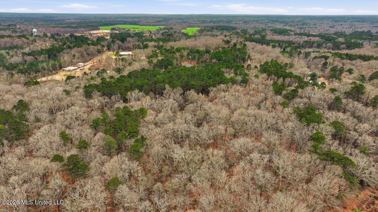 0 Monterey Road Florence, MS 39073 - Photo 1 of 6 1407 Monterey Rd Home Tours MS 64