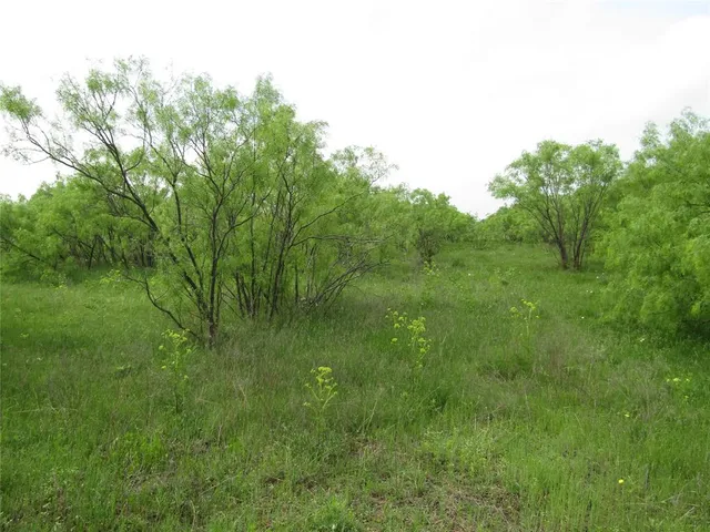 a view of a lush green space