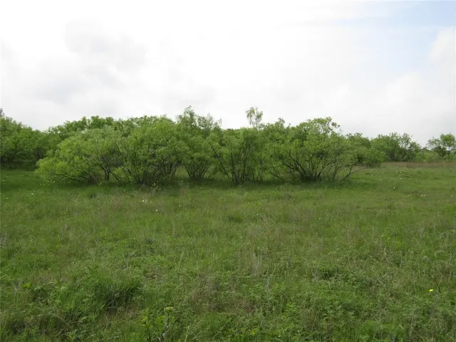 a view of a field of grass and trees