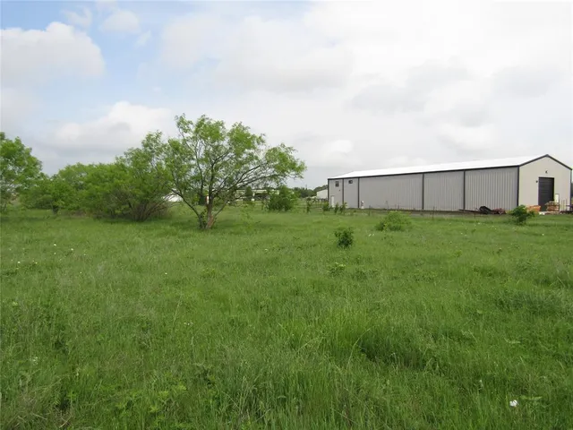 a view of a big yard with plants and large trees