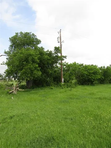 a view of a green field with a tree in the background
