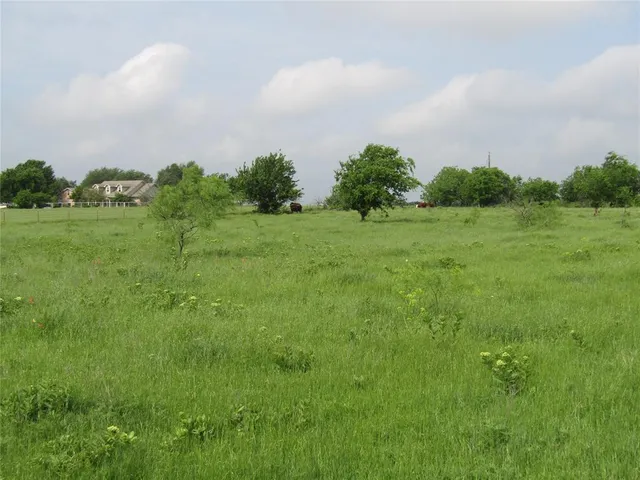 a big yard with lots of green space and deers