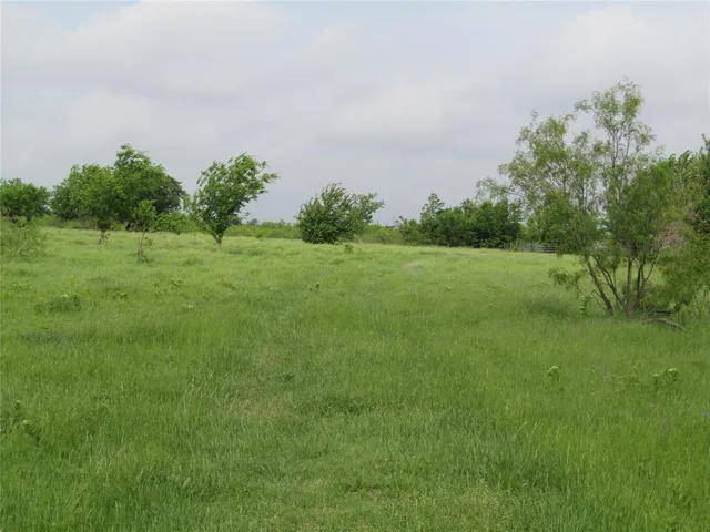 a view of field with trees in the background