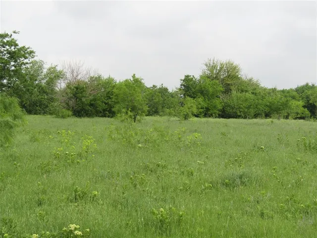 a view of a field with trees in background