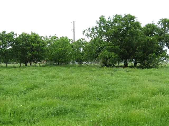 a view of green field with trees in the background