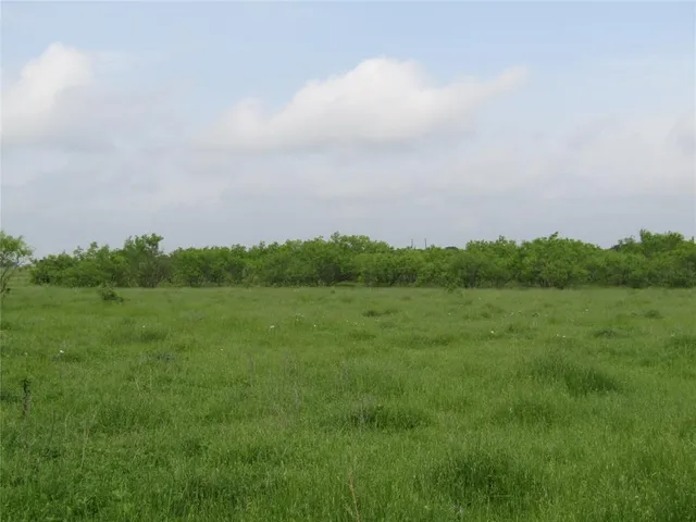 a view of a field with a tree in the background