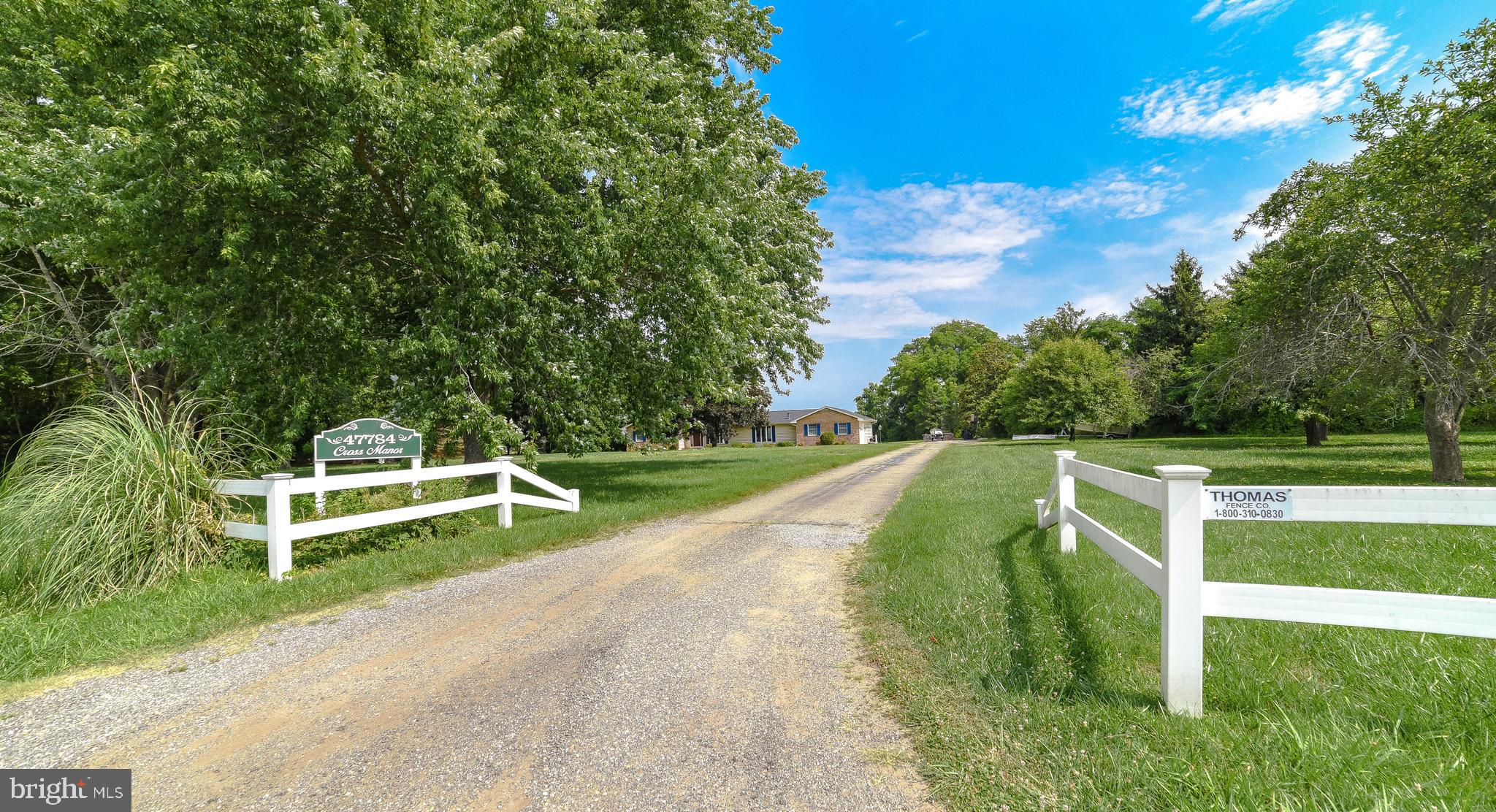 47784 Cross Manor Road St. Inigoes, MD 20684 - Photo 61 of 68 Driveway