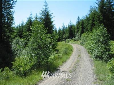 3 Off Of Filbert Road Cle Elum, WA 98922 - Photo 3 of 4