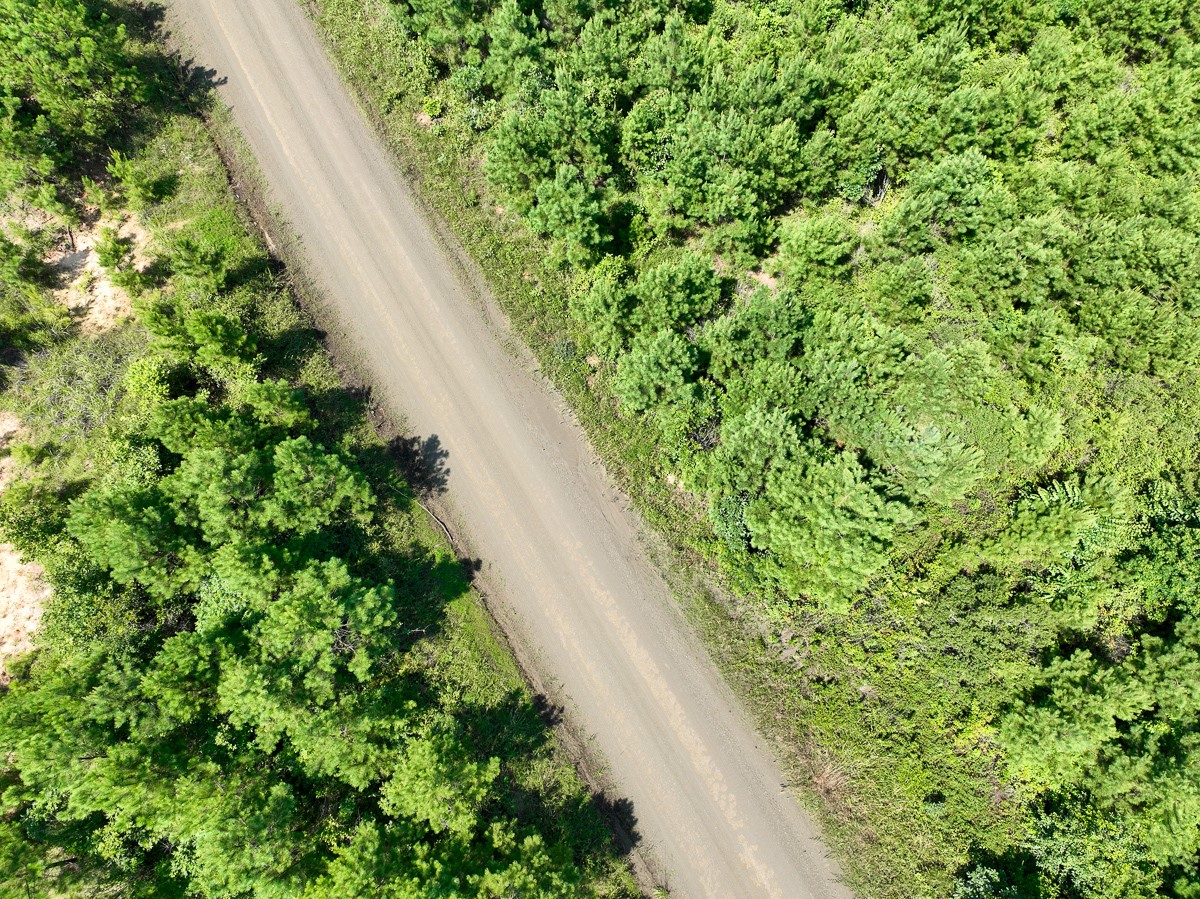 11 West Carters Ferry Road Milam, TX 75959 - Photo 1 of 5 a view of a garden with a plant