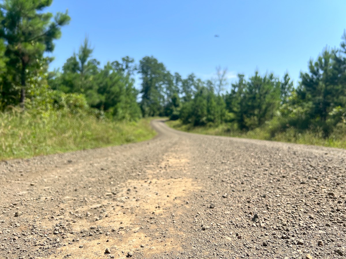 11 West Carters Ferry Road Milam, TX 75959 - Photo 3 of 5 a view of a yard with trees in the background