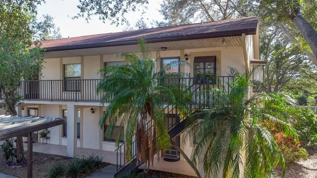 a view of backyard with potted plants and large tree