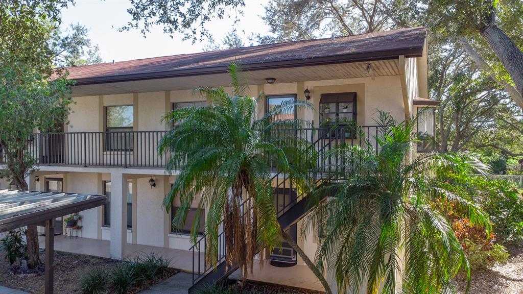11511 113th Street, Unit 13H Largo, FL 33778 - Photo 26 of 26 a view of backyard with potted plants and large tree