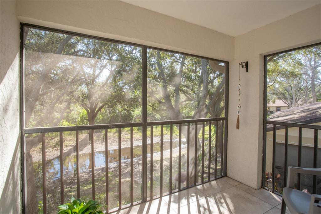 11511 113th Street, Unit 13H Largo, FL 33778 - Photo 10 of 26 a view of a large window with an outdoor space