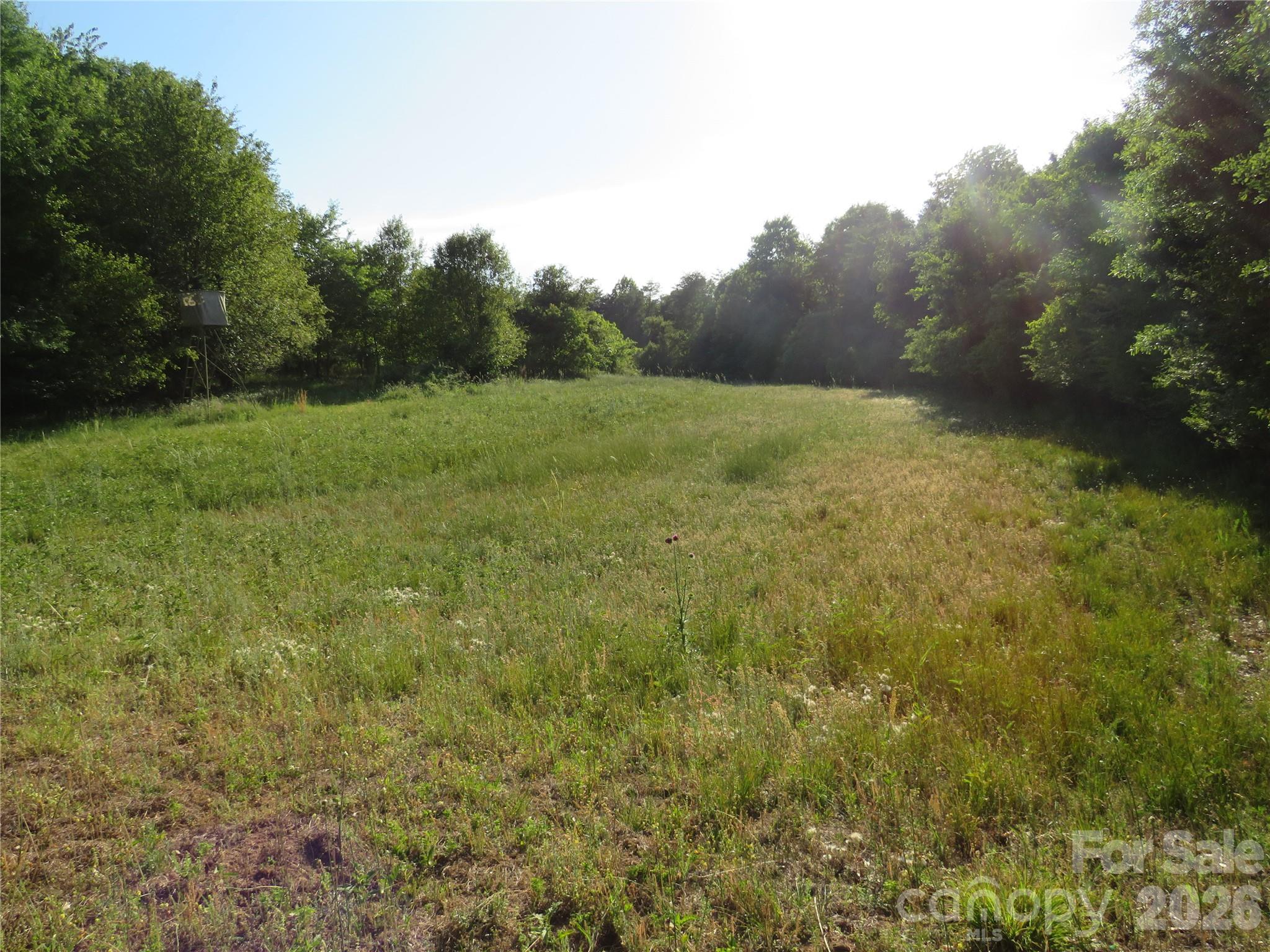 262 Flat Rock Road Forest City, NC 28043 - Photo 33 of 41