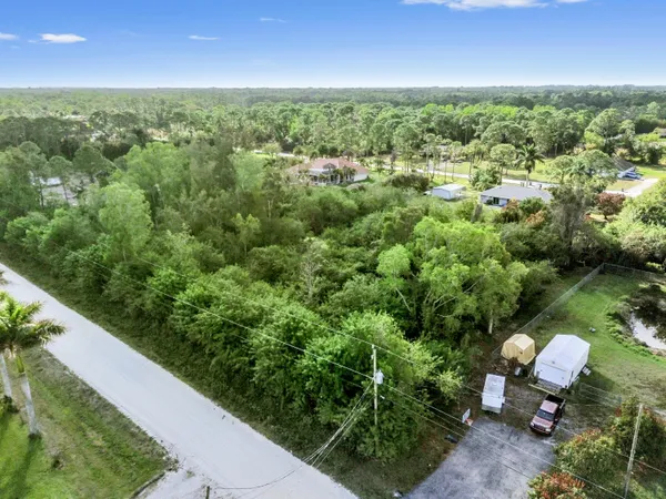 a view of a city with lush green forest