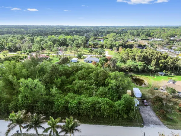 a view of a city with lots of trees