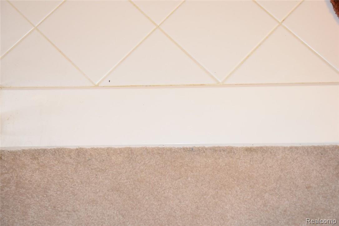 1022 Miners Run Rochester, MI 48306 - Photo 23 of 98 Flooring (Large).jpeg