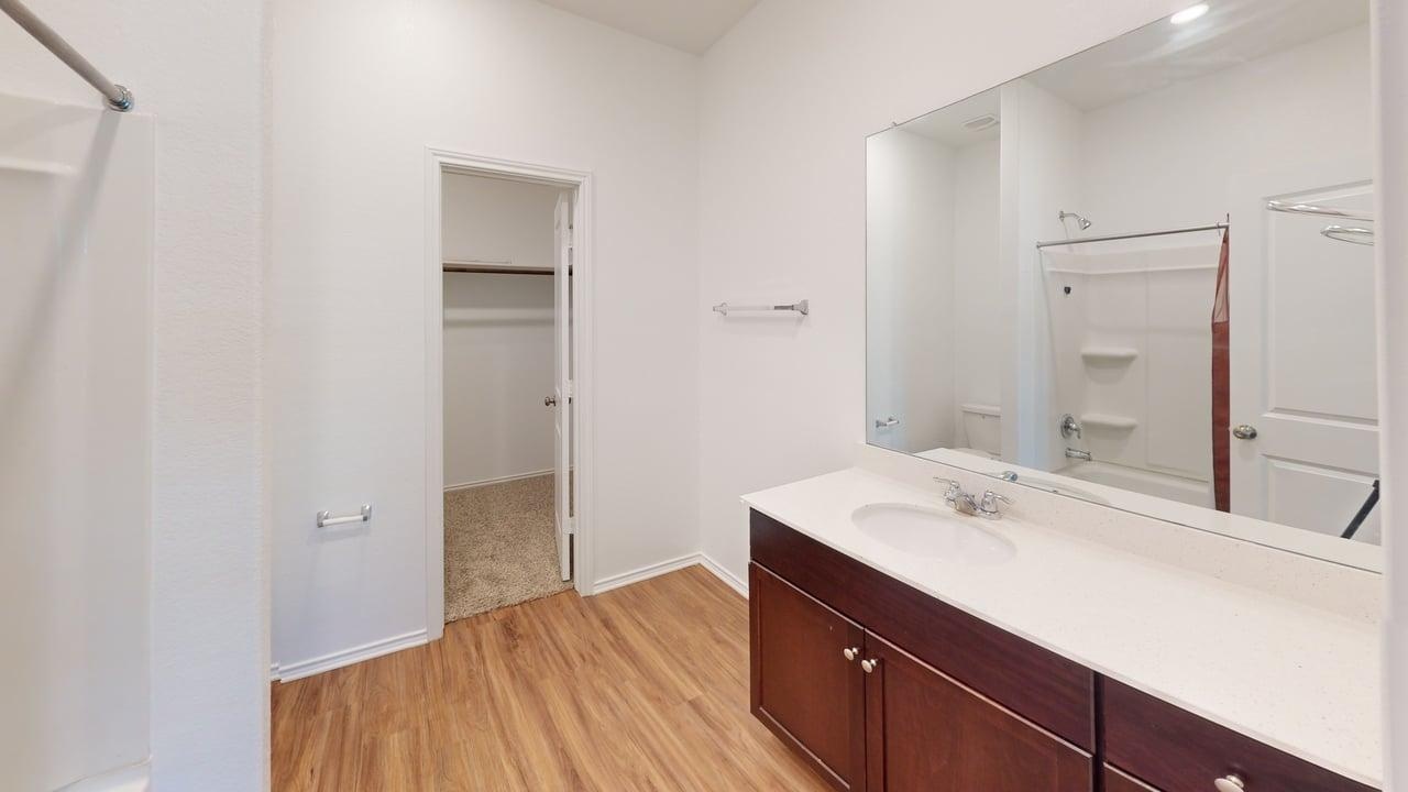 1112 Rio Frio Lane Georgetown, TX 78626 - Photo 17 of 21 Bathroom with vanity, a walk in closet, light wood-style floors, and washtub / shower combination