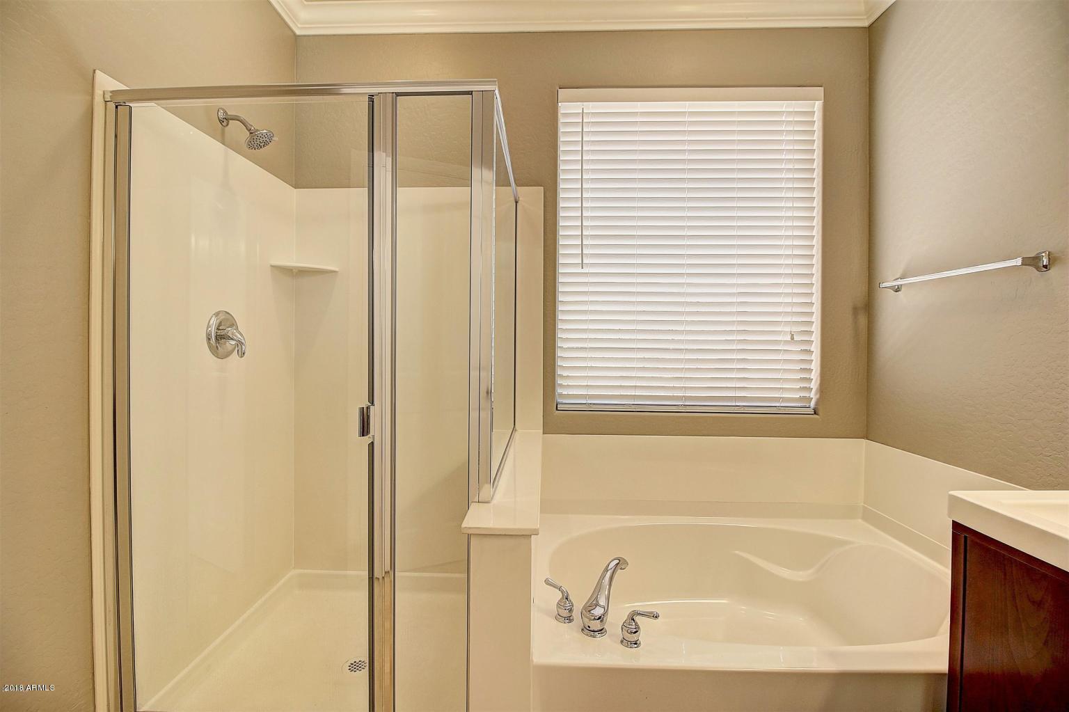 15923 West Redfield Road Surprise, AZ 85379 - Photo 12 of 23 Master Bath Sep Tub and shower