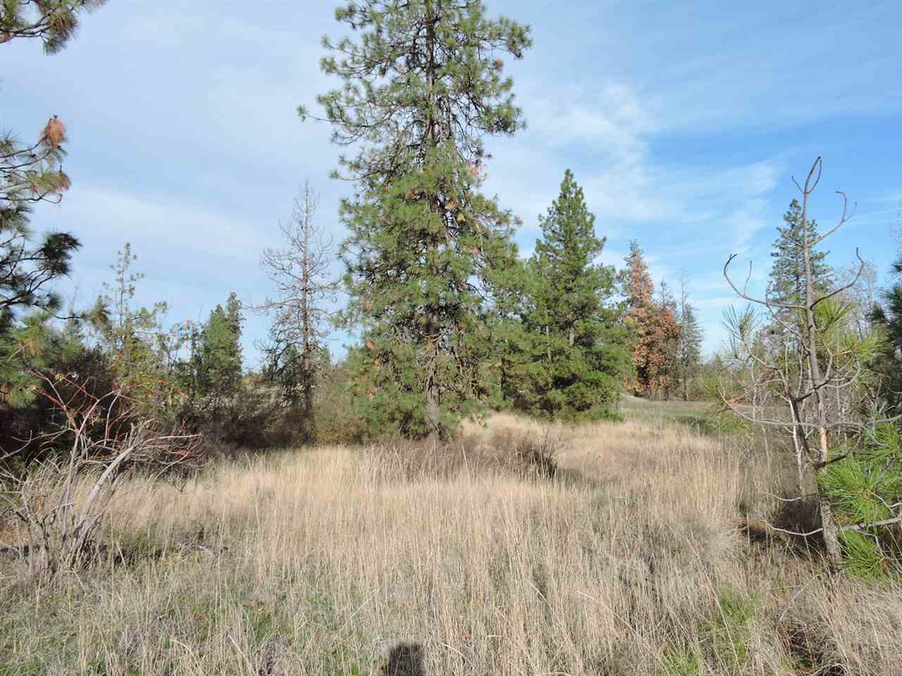 17505 West Bowie Road Spokane, WA 99224 - Photo 11 of 20