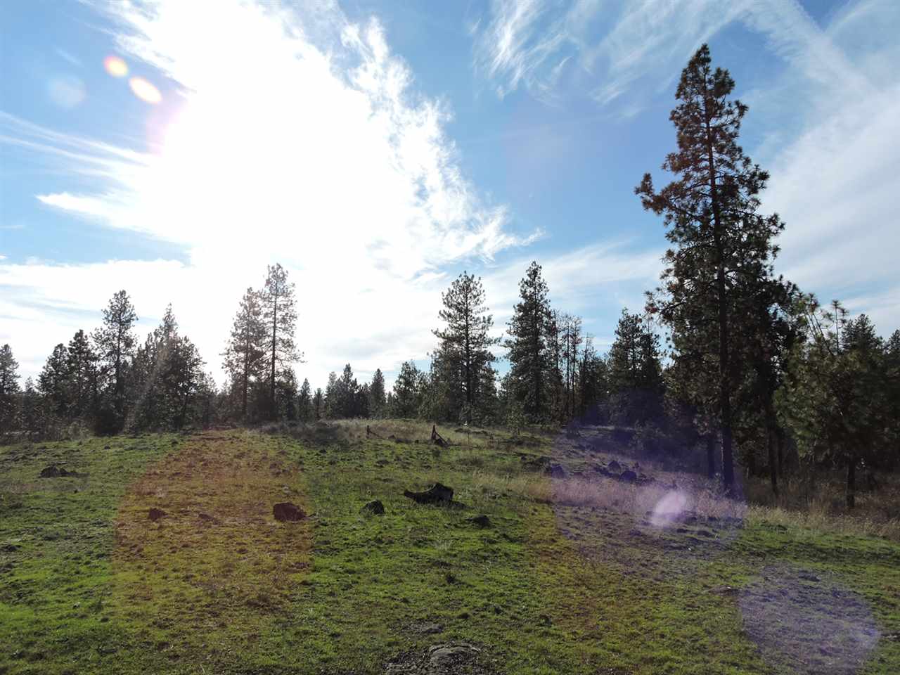17505 West Bowie Road Spokane, WA 99224 - Photo 12 of 20