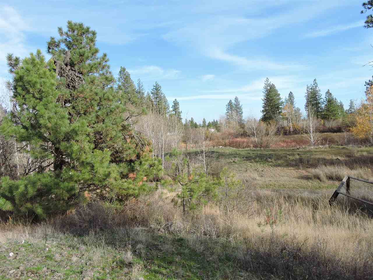 17505 West Bowie Road Spokane, WA 99224 - Photo 5 of 20