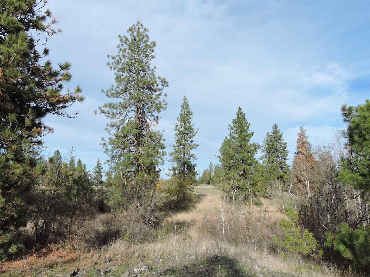 17505 West Bowie Road Spokane, WA 99224 - Photo 6 of 20