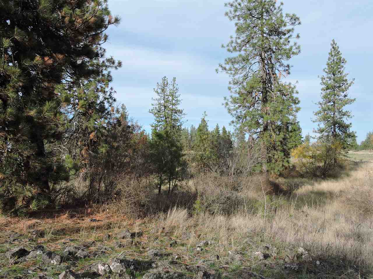 17505 West Bowie Road Spokane, WA 99224 - Photo 7 of 20