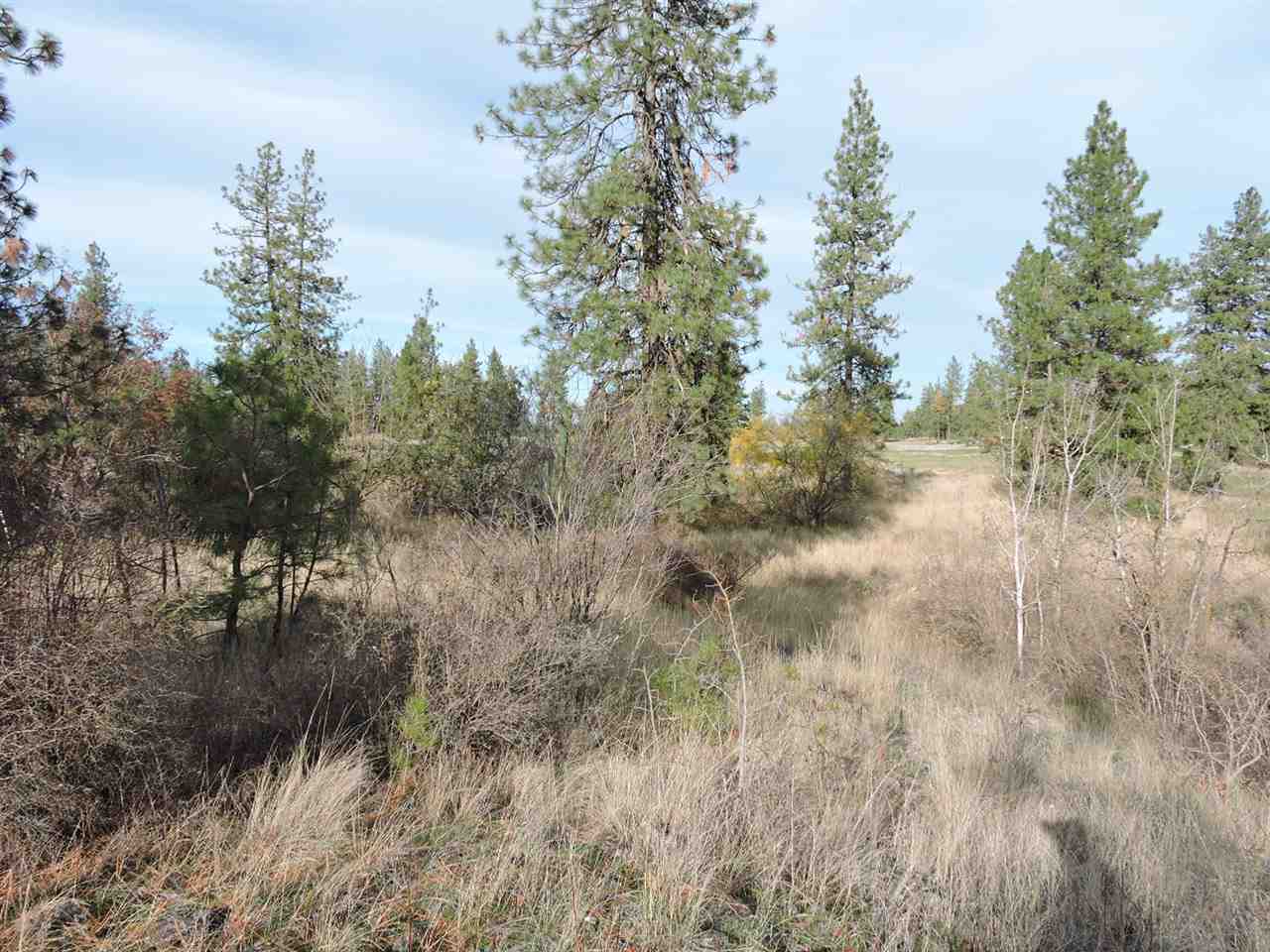 17505 West Bowie Road Spokane, WA 99224 - Photo 8 of 20