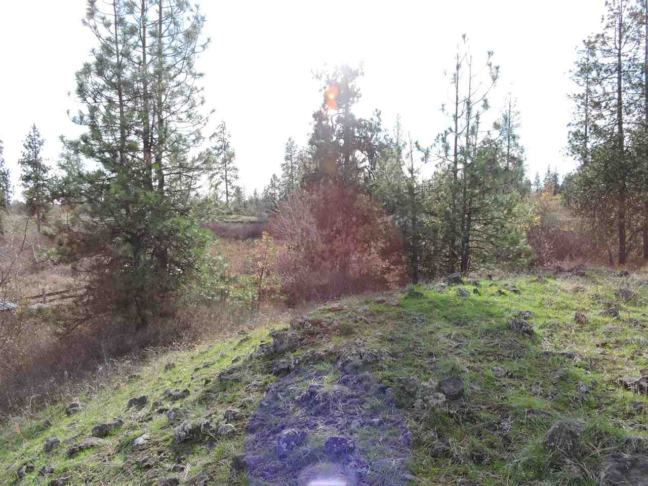 17505 West Bowie Road Spokane, WA 99224 - Photo 9 of 20
