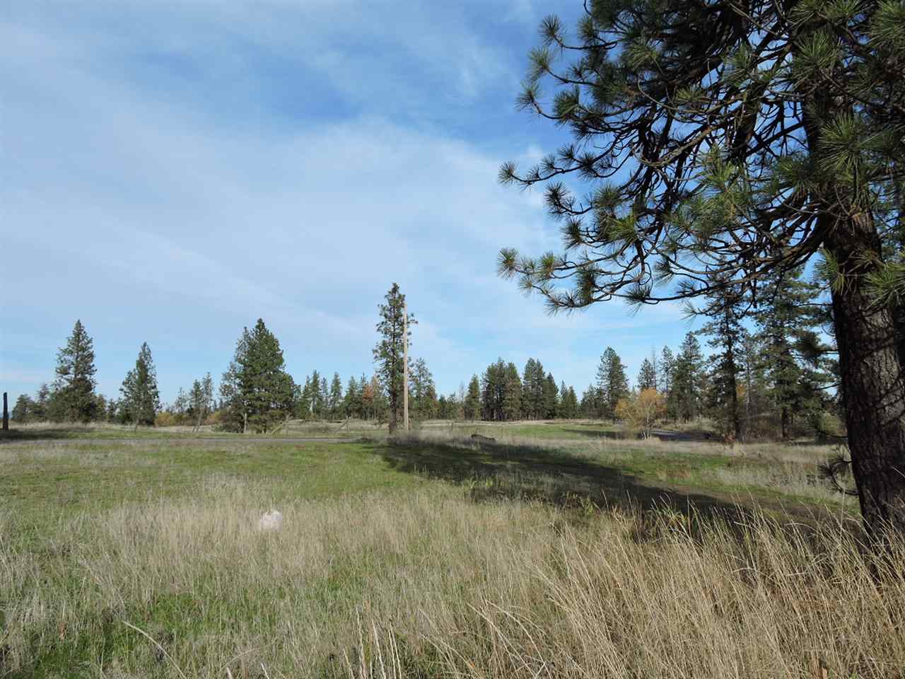 17505 West Bowie Road Spokane, WA 99224 - Photo 10 of 20