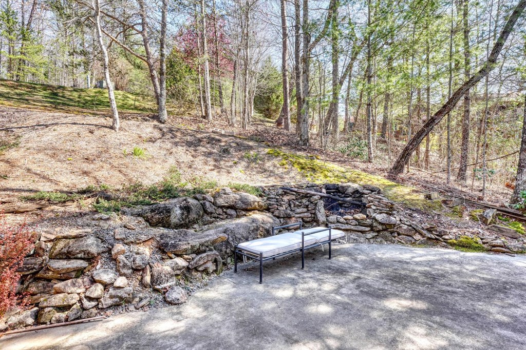 6128 Ruth Drive Young Harris, GA 30582 - Photo 41 of 59