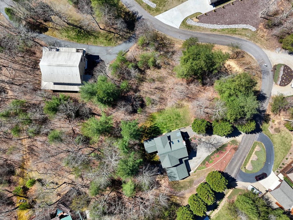 6128 Ruth Drive Young Harris, GA 30582 - Photo 53 of 59