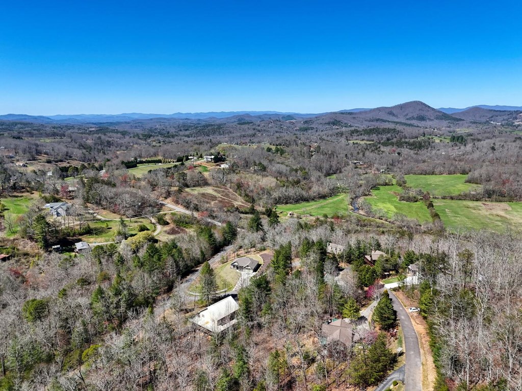 6128 Ruth Drive Young Harris, GA 30582 - Photo 54 of 59