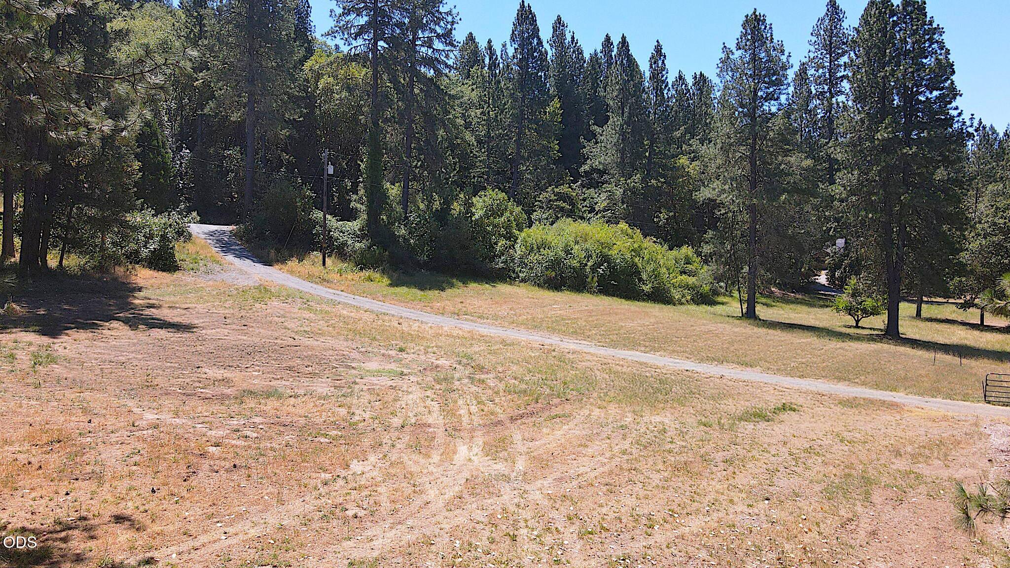 11230 Lower River Road Grants Pass, OR 97526 - Photo 8 of 29