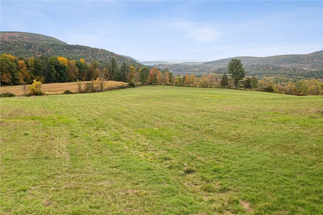 $499,000 | Westkill Road, North Blenheim, NY 12131